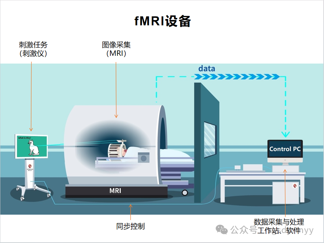 fMRI磁共振腦功能成像：大腦奧秘的神奇之眼